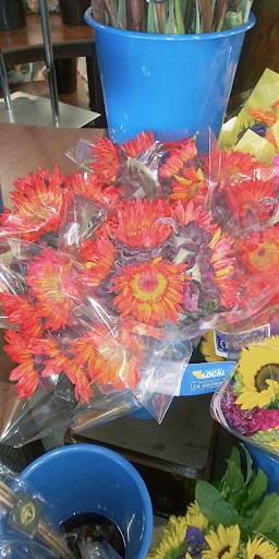 Grocery Store «Safeway», reviews and photos, 2207 Francisco Dr, El Dorado Hills, CA 95762, USA