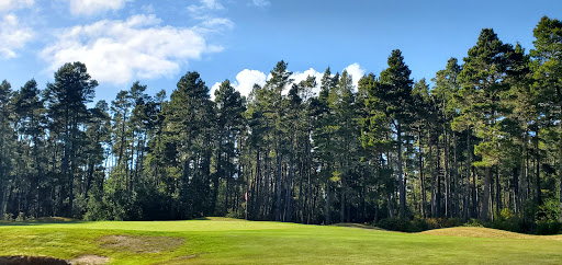 Golf Course «Sandpines Golf Links», reviews and photos, 1201 35th St, Florence, OR 97439, USA