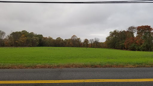 Moving Company «nice move inc», reviews and photos, 70 Pleasant Valley Rd, Morganville, NJ 07751, USA