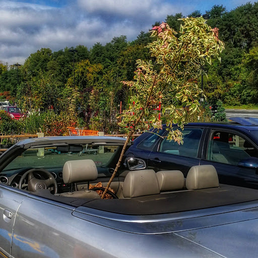 Home Improvement Store «The Home Depot», reviews and photos, 514 E Main St, Westfield, MA 01085, USA