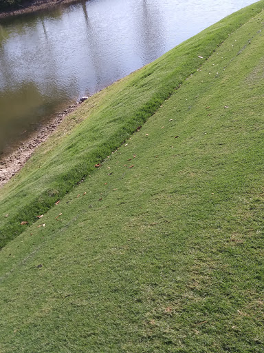 Private Golf Course «Adios Golf Course», reviews and photos, 7740 NW 39th Ave, Coconut Creek, FL 33073, USA