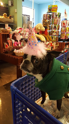 Pet Store «Pet Pantry Warehouse», reviews and photos, 290 Railroad Ave, Greenwich, CT 06830, USA