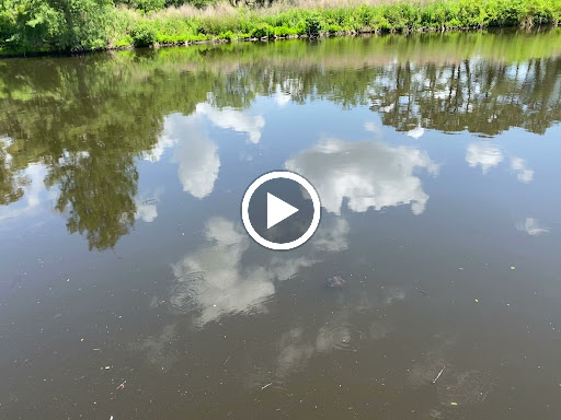 Park «Cypress Wetlands», reviews and photos, 1700 Paris Ave, Port Royal, SC 29935, USA