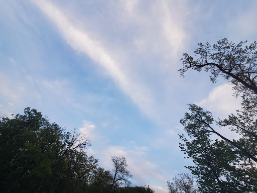 Learning Center «Trailside Museum of Natural History», reviews and photos, 738 Thatcher Ave, River Forest, IL 60305, USA