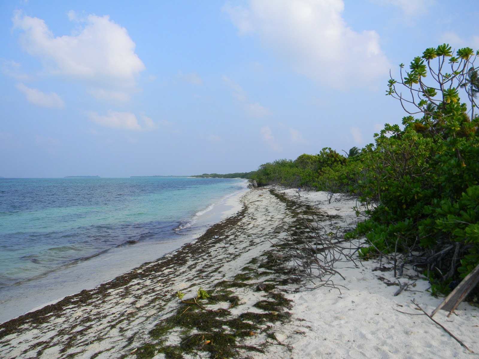 Fotografija Molhadhoo Beach z visok stopnjo čistoče