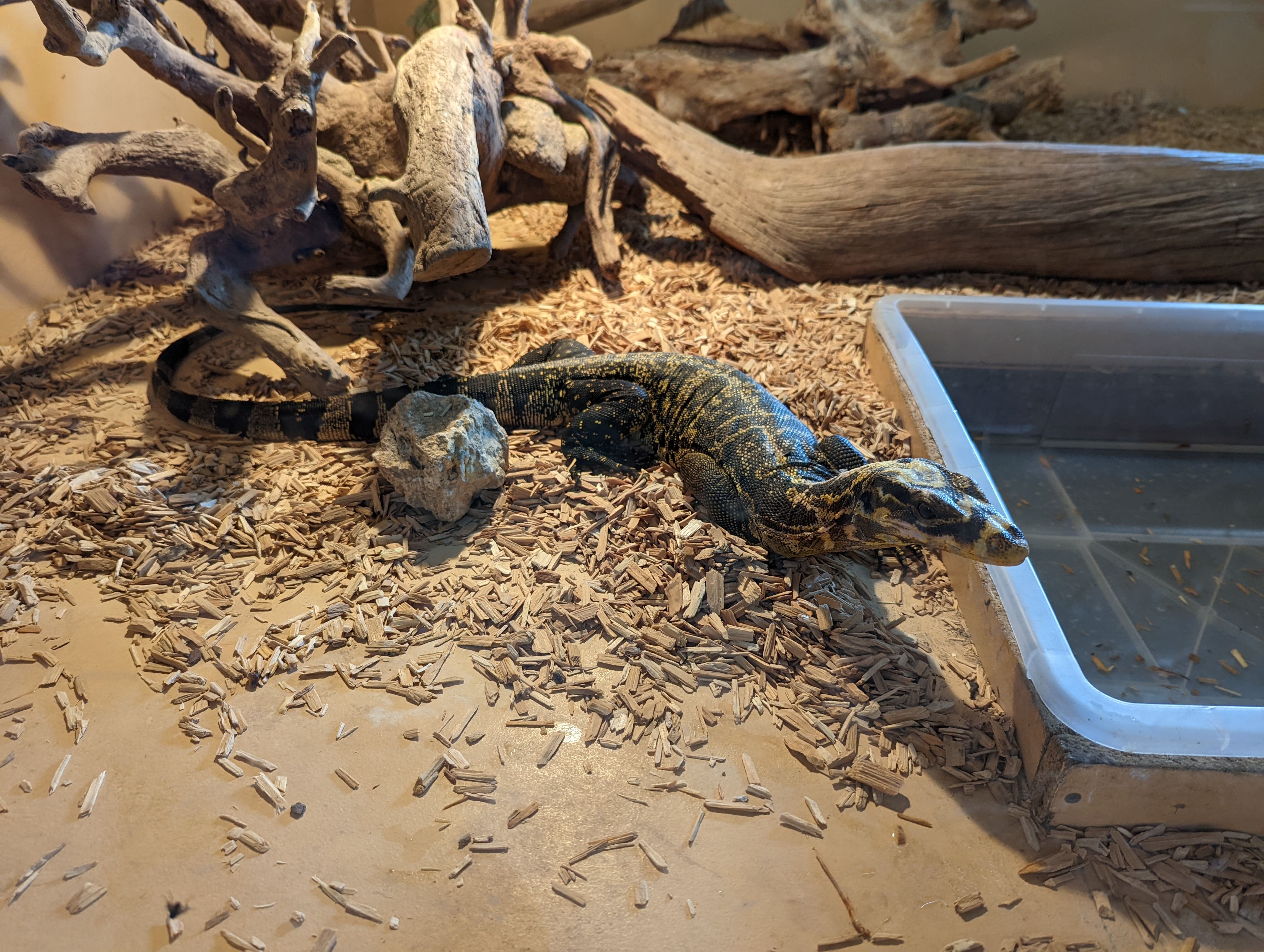 Photo n° 9 de l'avis de Mathieu.I fait le 07/05/2022 à 19:56