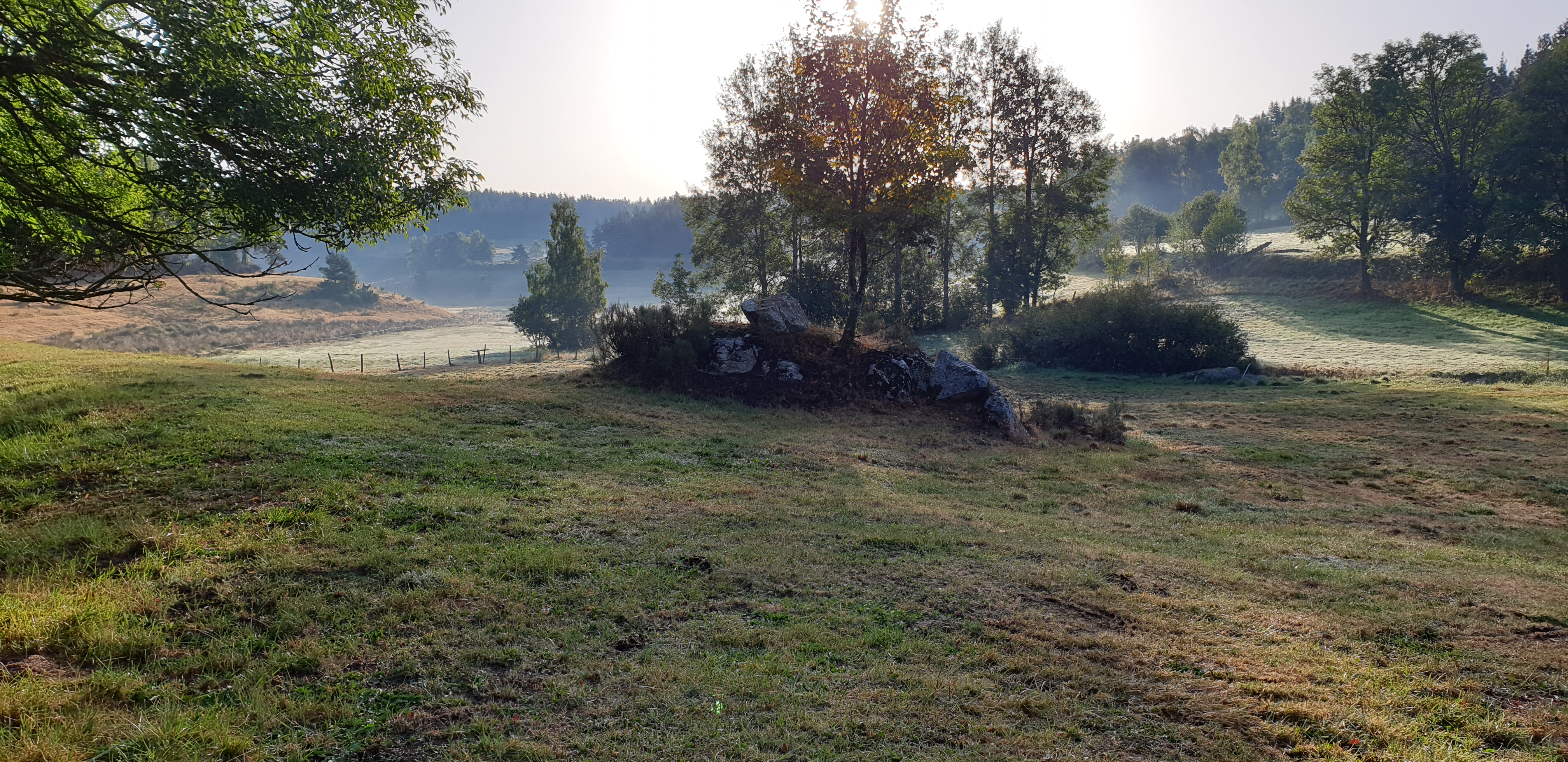 Photo n° 4 de l'avis de Thierry.o fait le 18/09/2019 à 15:20