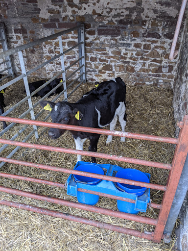 Old Green Farm Dairy