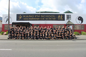 The Kung Fu School
