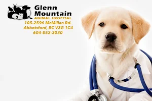 Glenn Mountain Animal Hospital image