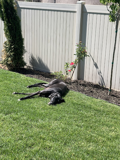 Pet Supply Store «PetSmart», reviews and photos, 10329 S State St, Sandy, UT 84070, USA