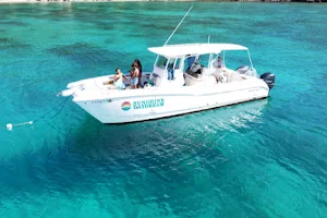 Sunshine Daydream Boat Charters image