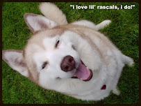 Lil' Rascals Dog Walking - Photo 2 - Car repair in , Santa Clarita