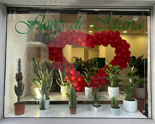 Flores de Maria - Floricultura