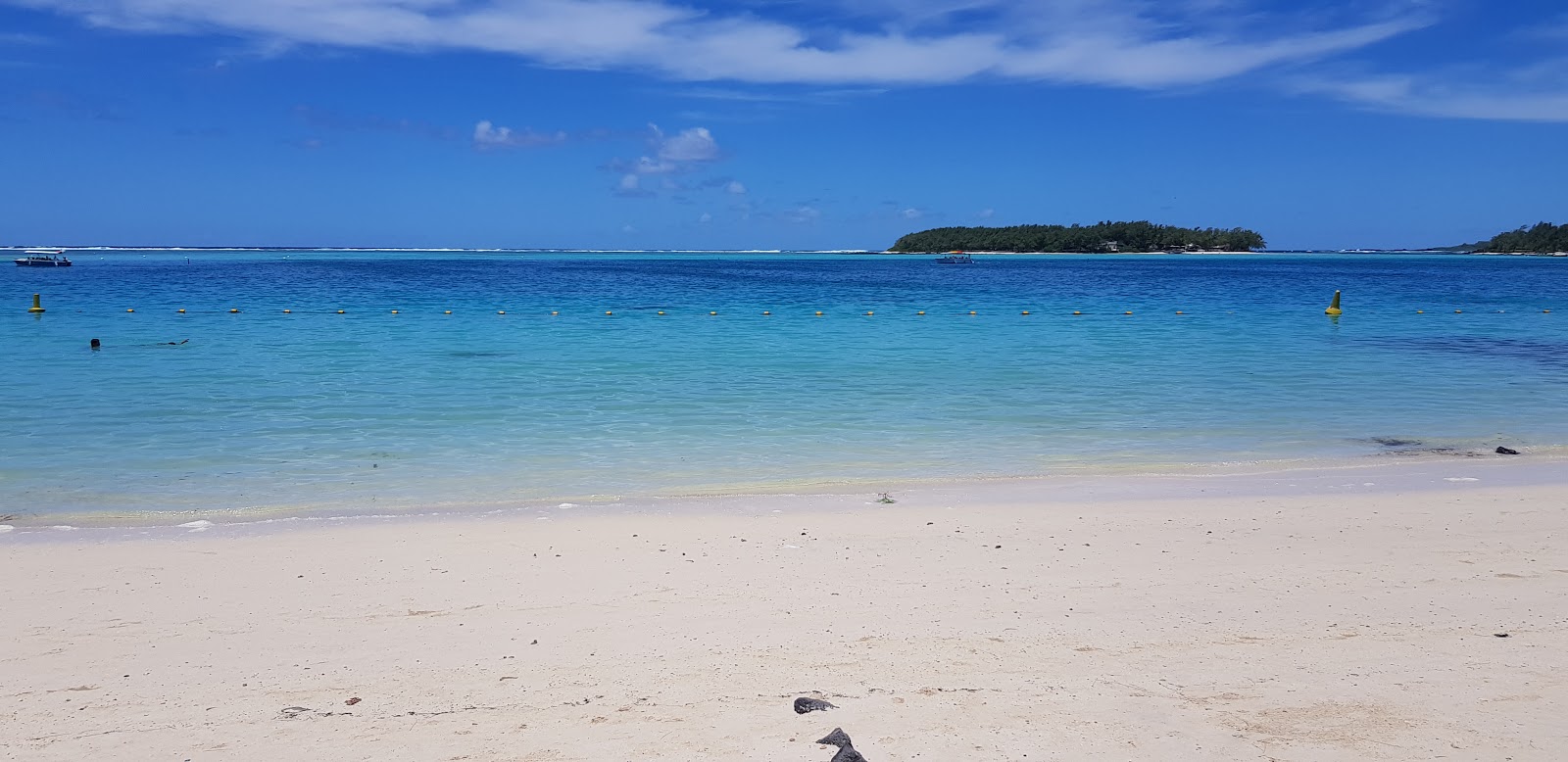 Zdjęcie Plaża Pointe d'Esny - polecane dla podróżujących z dziećmi rodzinnych