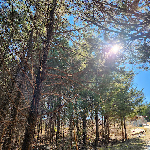 The Trails at Squabble Creek