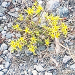 Photo n°2 de l'avis de Bernd.o fait le 27/06/2023 à 07:33 sur le  Hotel Restaurant Alpenrose à St Valentin auf der Haide