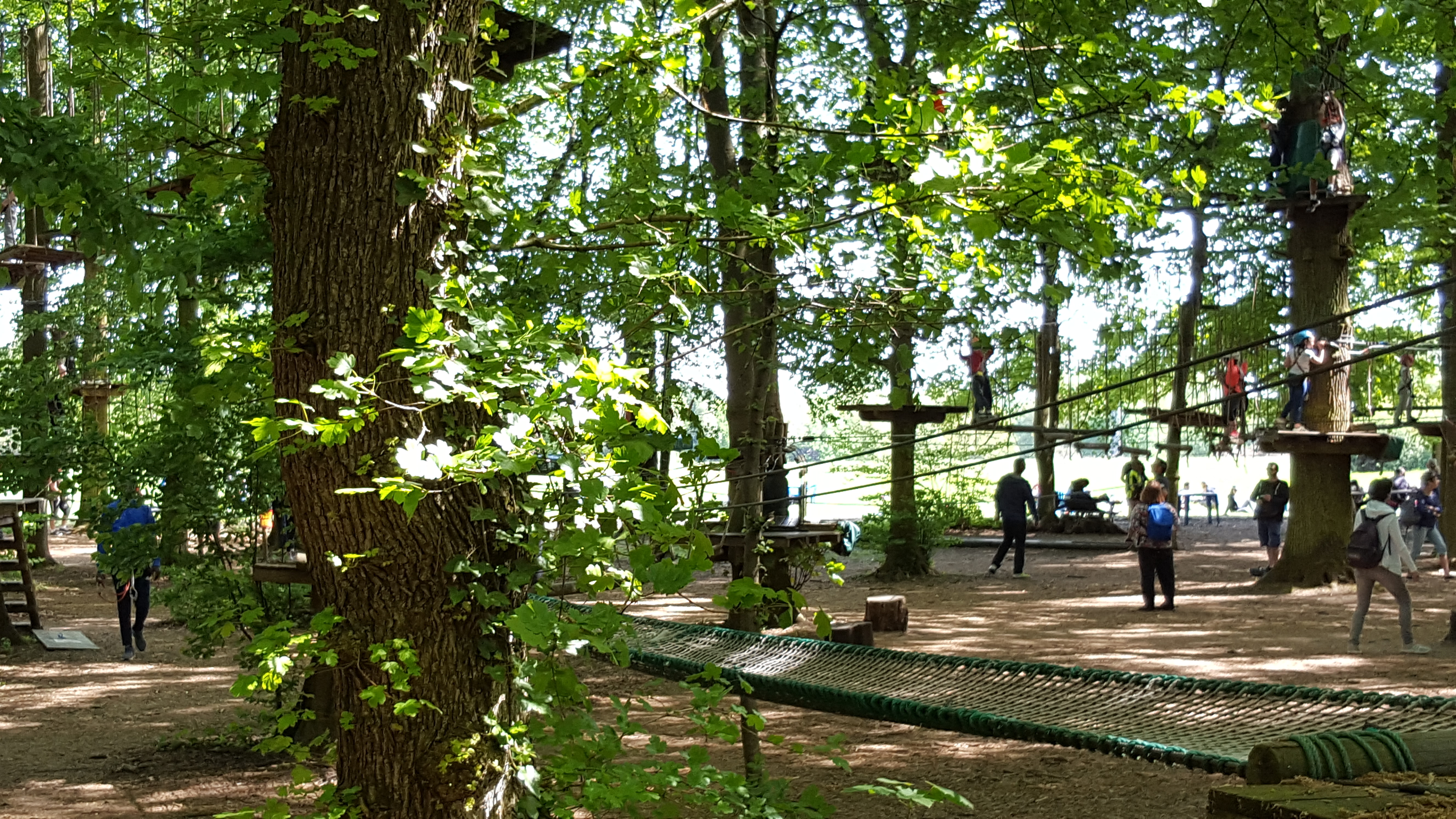 Photo n° 1 de l'avis de cmal.m fait le 24/04/2018 à 17:11