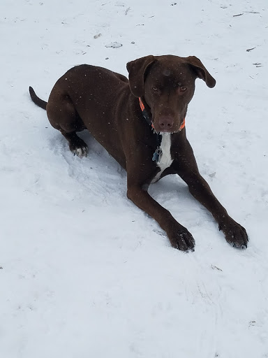 Dog Park «Bassett Creek Dog Park», reviews and photos, 32nd Ave N, Crystal, MN 55422, USA