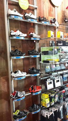 Cadence Cyclery, 200 Marketplace Ln, Highland Village, TX 75077, USA, 