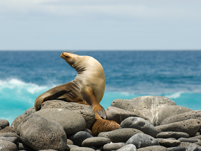 Opiniones de Tierra de Fuego Travel Agency en Quito - Agencia de viajes