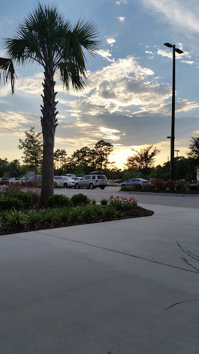 Dollar Store «Dollar Tree», reviews and photos, 9180 Ocean Hwy Unit 3, Pawleys Island, SC 29585, USA