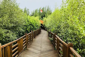 Wisata Mangrove Gununganyar image