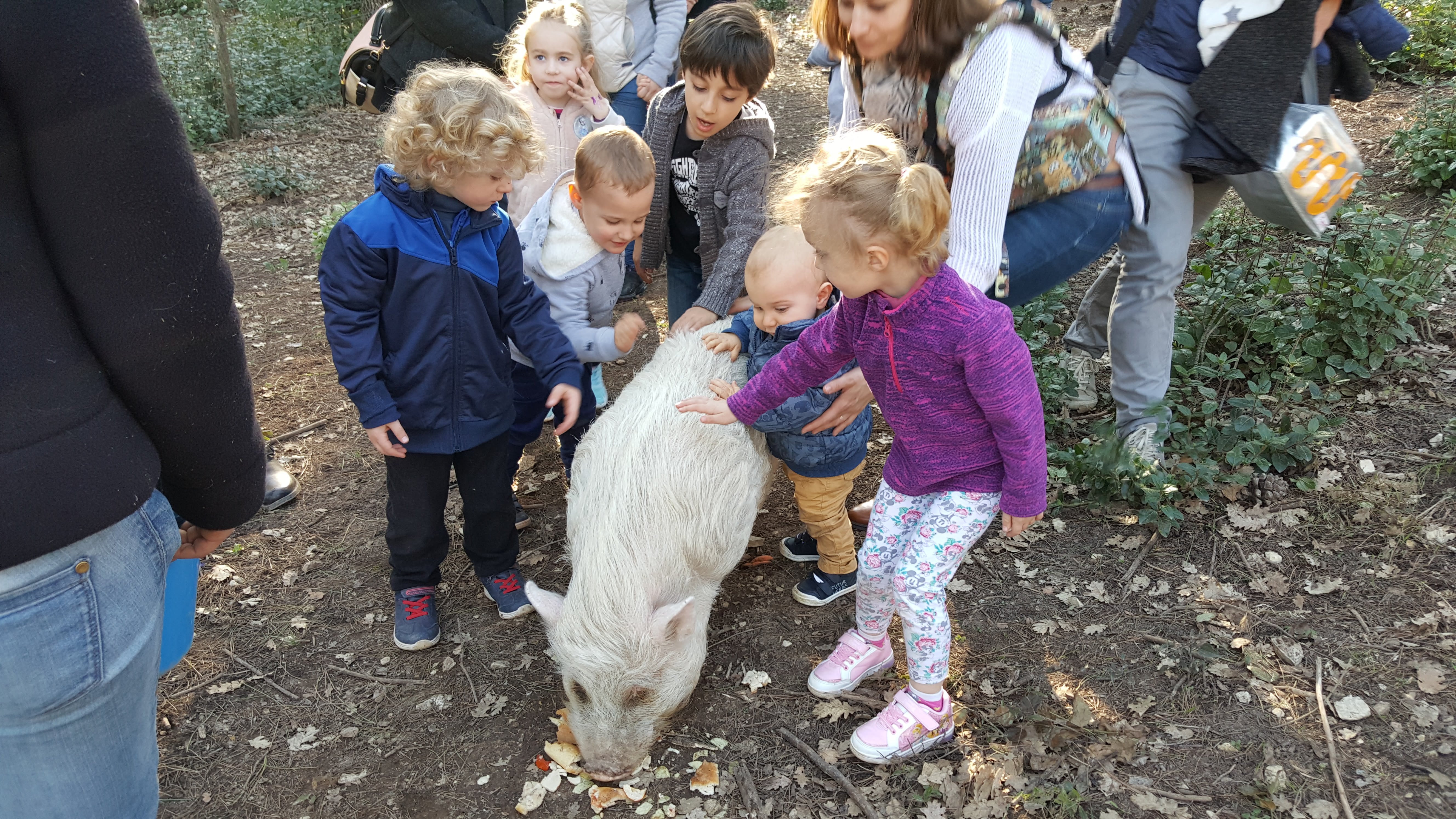 Photo n° 3 de l'avis de Bruno. fait le 12/06/2019 à 06:32