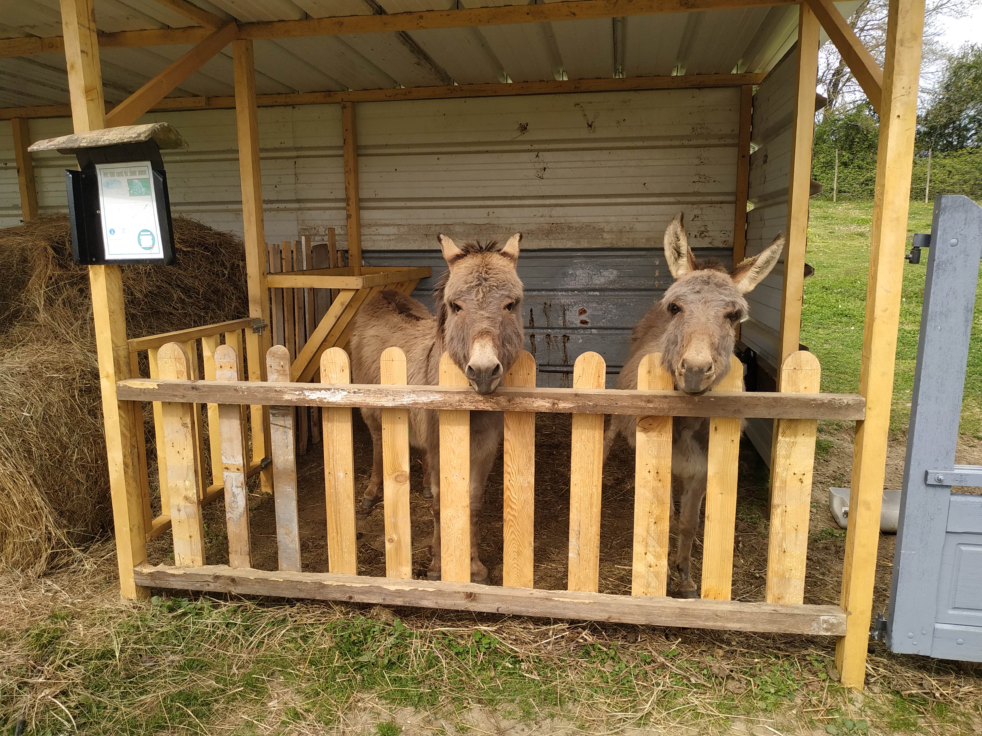 Photo n° 1 de l'avis de Audrey-.y fait le 18/04/2019 à 22:07