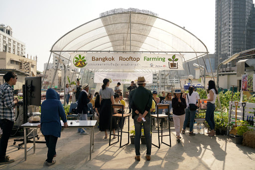 Bangkok Rooftop Farming - ฟาร์มบนดาดฟ้า