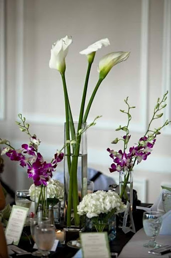 Florist «Primavera Florist Pedro», reviews and photos, 5510 W Flagler St, Coral Gables, FL 33134, USA