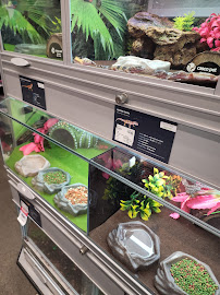 PetSmart - Photo 6 - Car repair in Kearny, NJ, New York