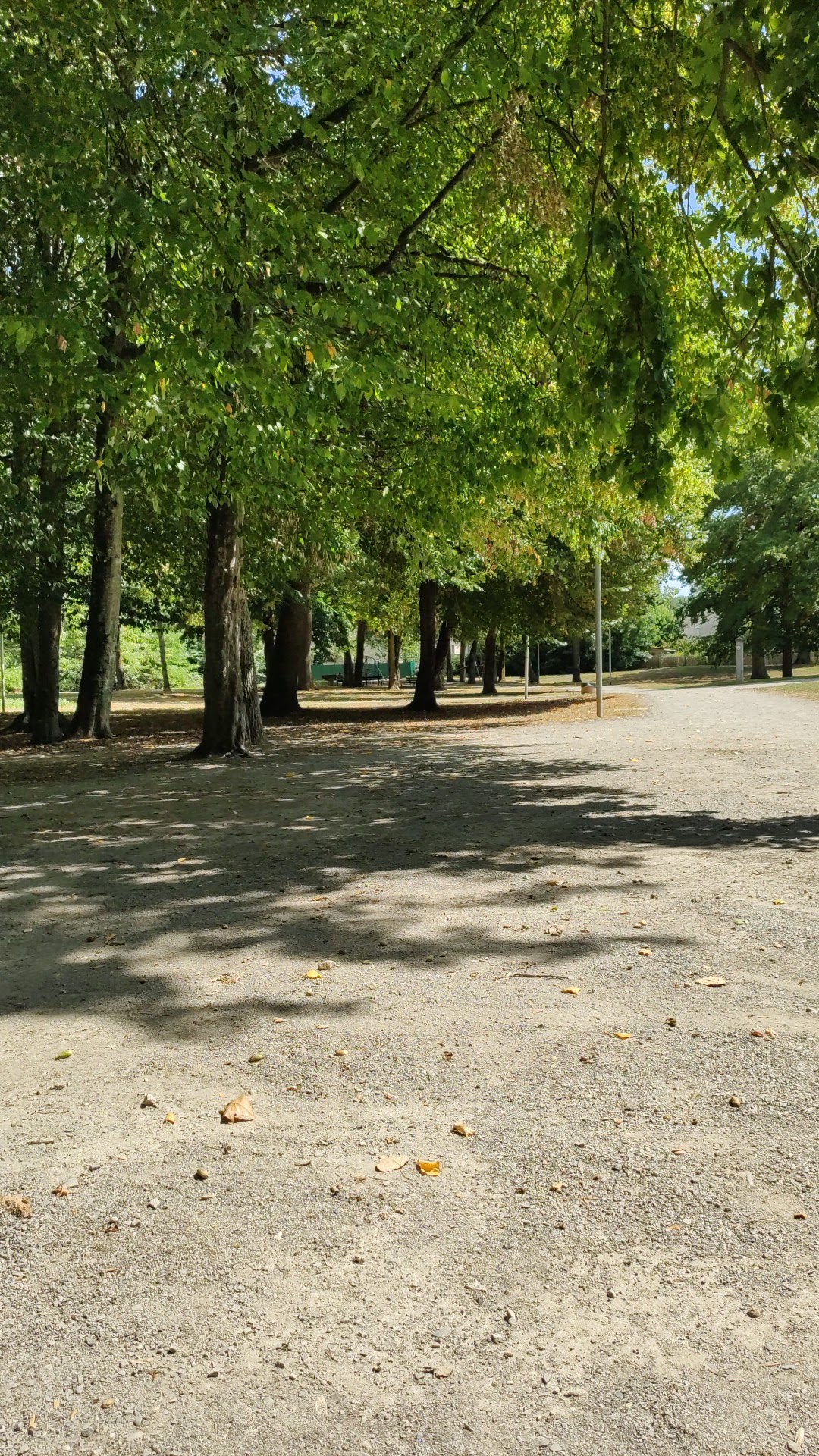 Photo n° 2 de l'avis de Flavien.T fait le 21/08/2019 à 12:12