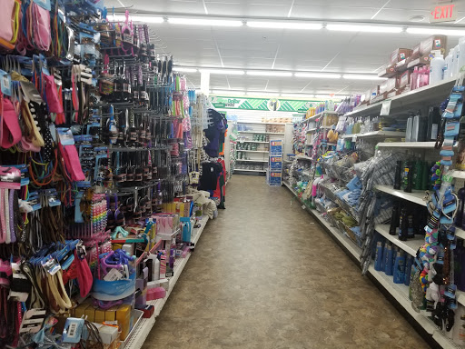 Dollar Store «Dollar Tree», reviews and photos, 600 S St W, Raynham, MA 02767, USA