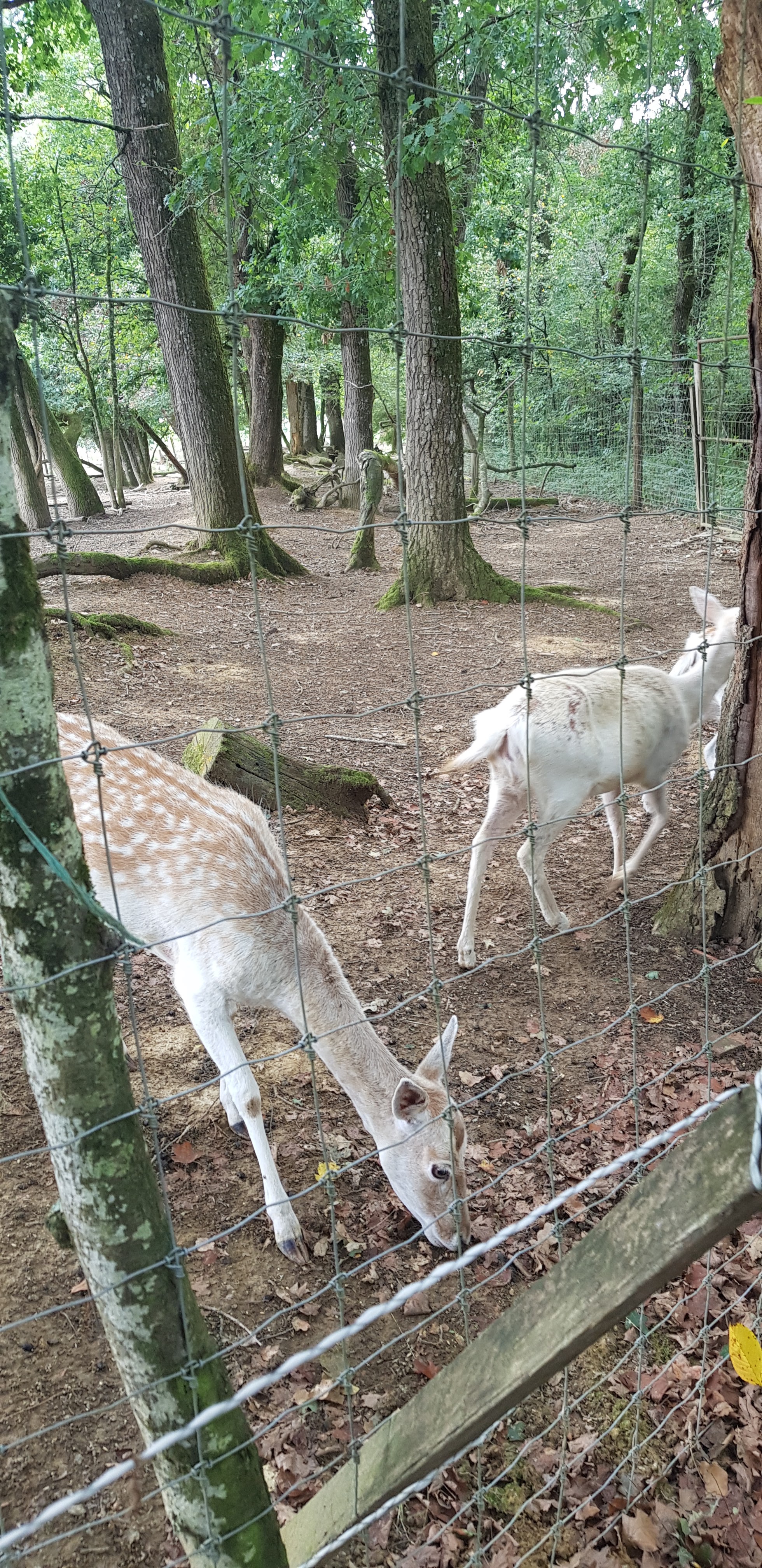Photo n° 4 de l'avis de Alex.L fait le 30/08/2018 à 18:15