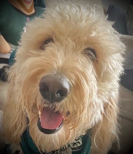 Pet Supply Store «Pet Supplies Plus», reviews and photos, 445 Atlantic City Blvd, Bayville, NJ 08721, USA