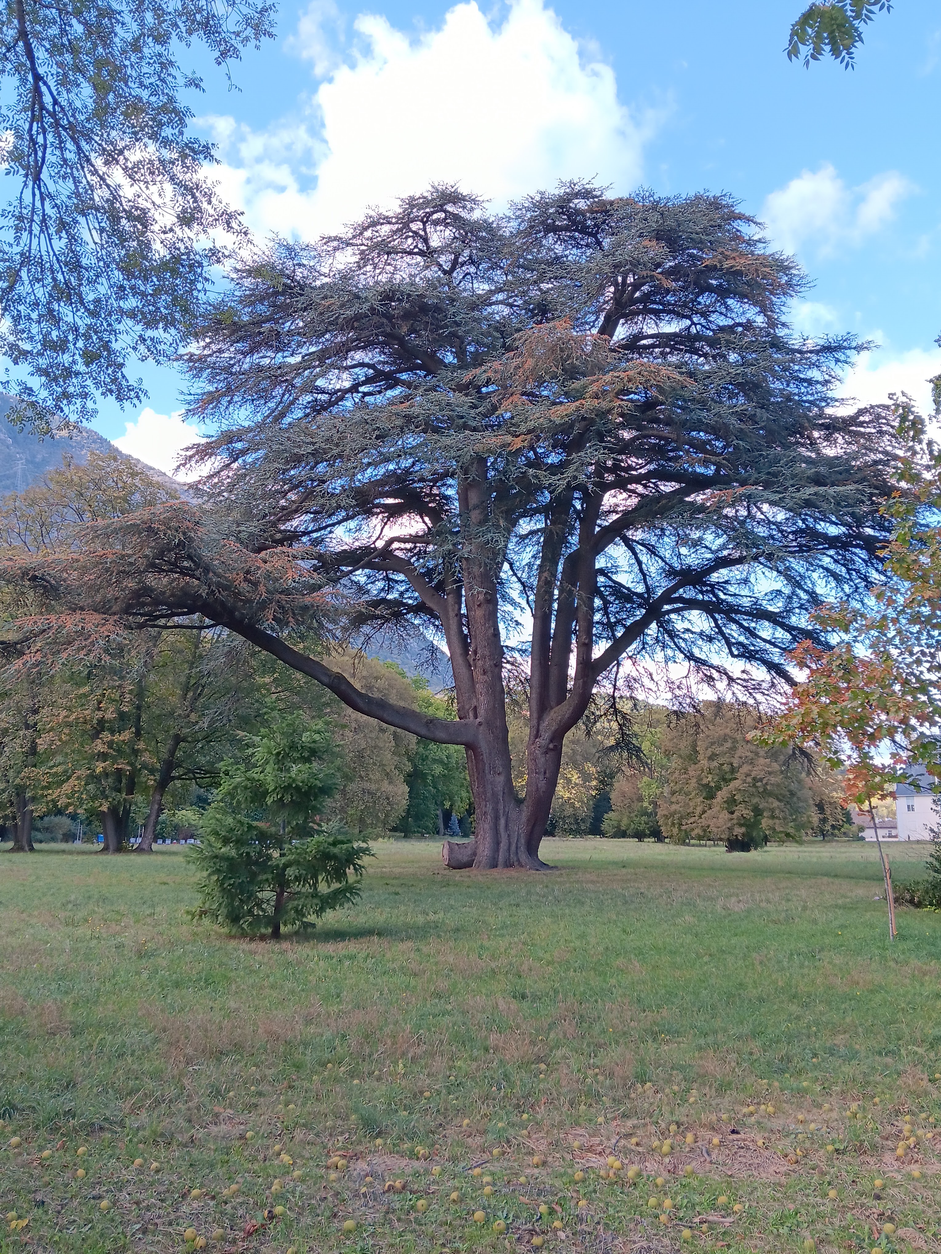 Photo n° 5 de l'avis de PERLE.L fait le 21/10/2023 à 13:31
