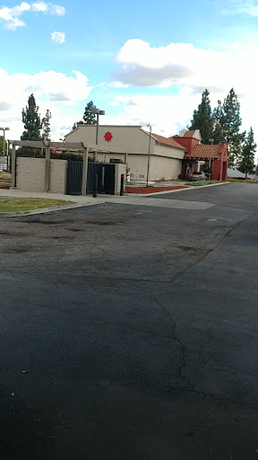 Jack in the Box image