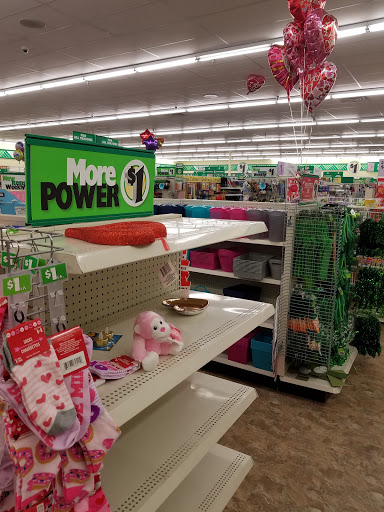 Dollar Store «Dollar Tree», reviews and photos, 556 E Main St, Hohenwald, TN 38462, USA