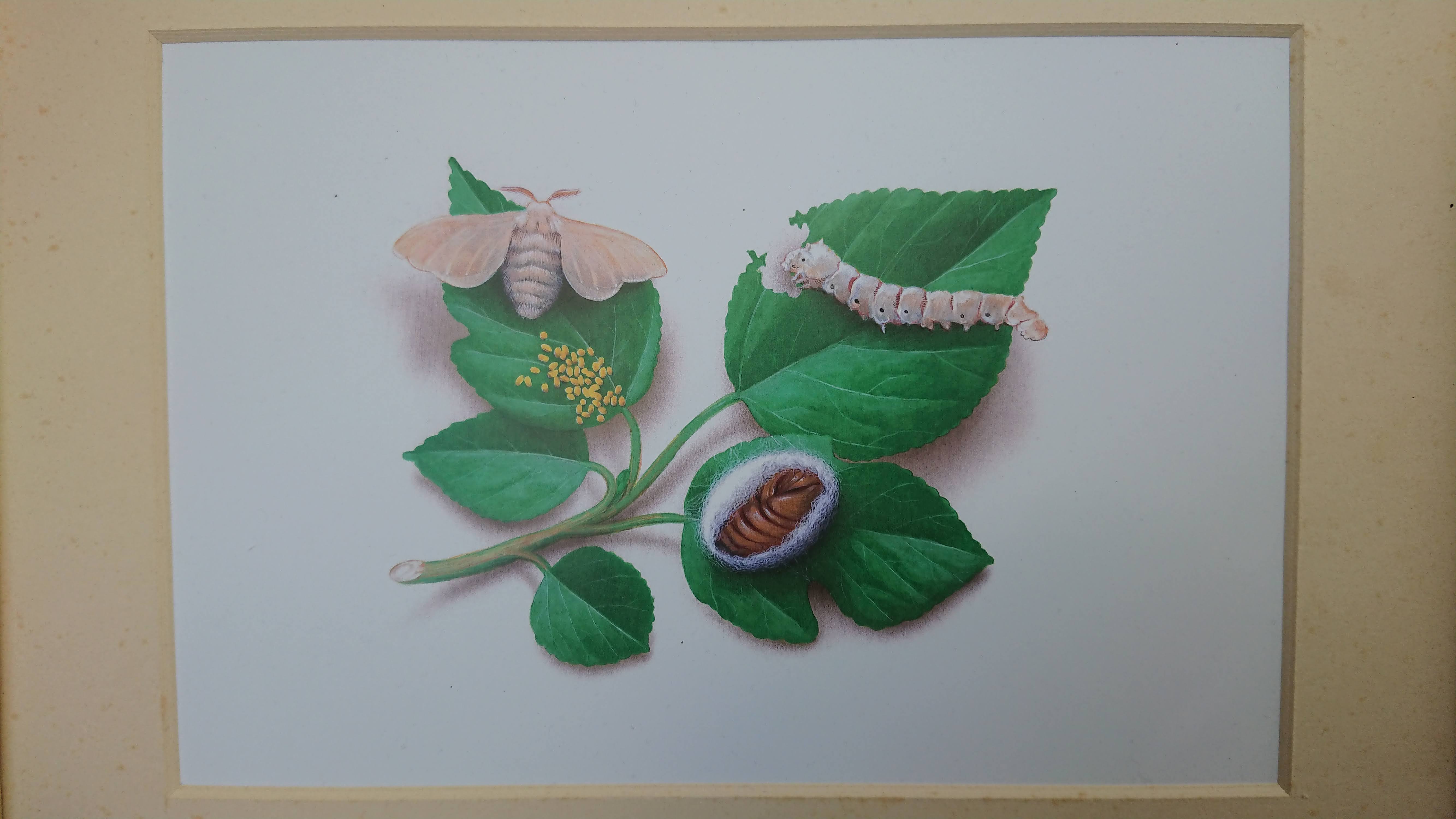 Photo n° 8 de l'avis de Thibaut.o fait le 13/07/2023 à 13:03