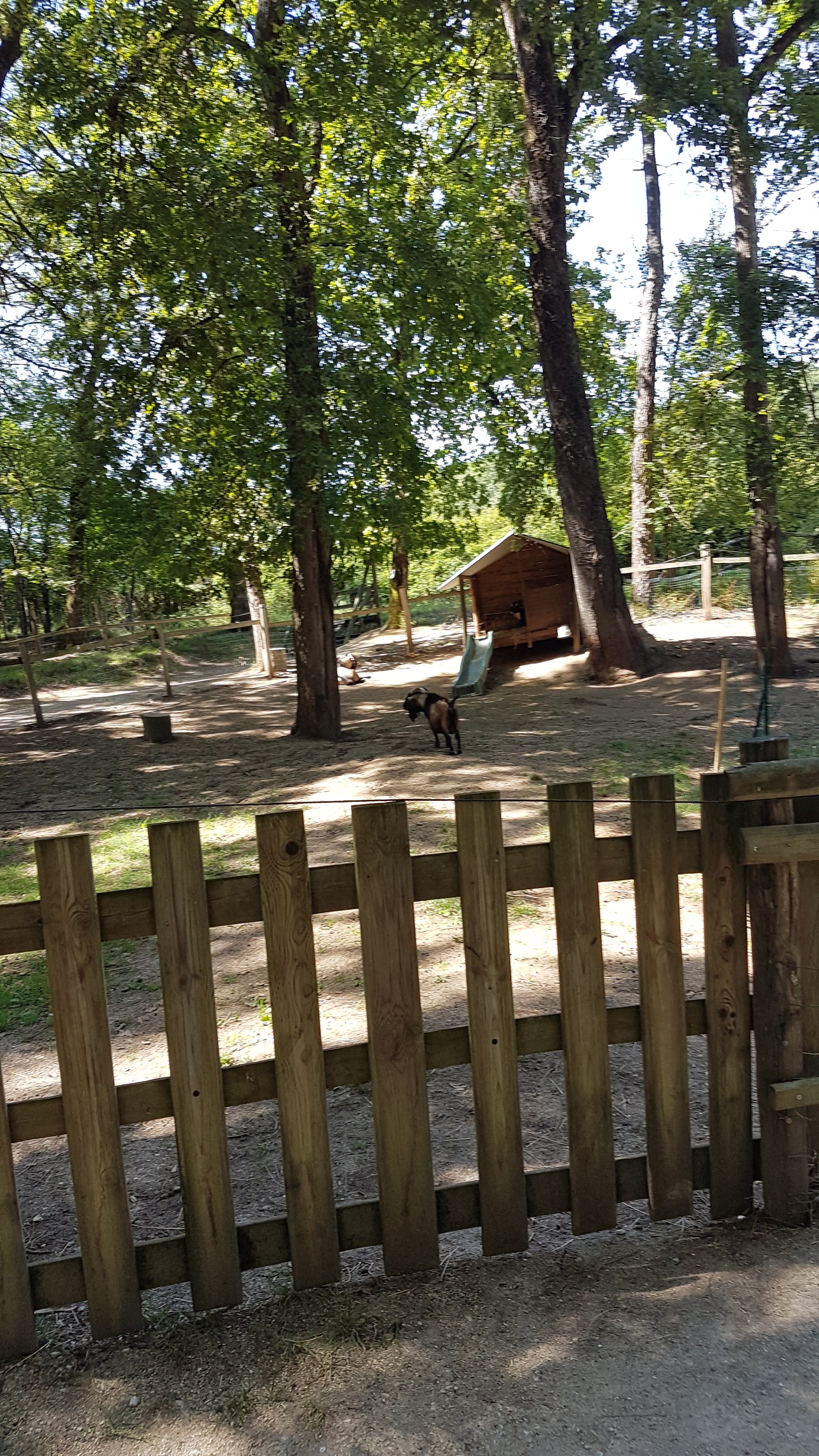 Photo n° 9 de l'avis de Patricia.e fait le 16/08/2019 à 15:31