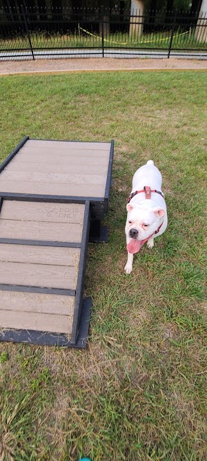 Newport Dog Park - photo 95