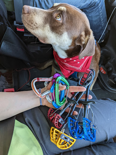 Outdoor Sports Store «The Gear Room», reviews and photos, 2258 Fort Union Blvd, Cottonwood Heights, UT 84121, USA