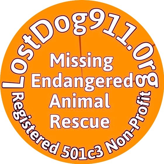 Lost Dog 911