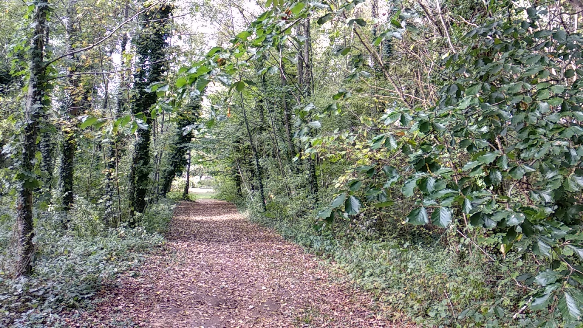 Photo n° 6 de l'avis de Timotée.r fait le 06/10/2018 à 13:14