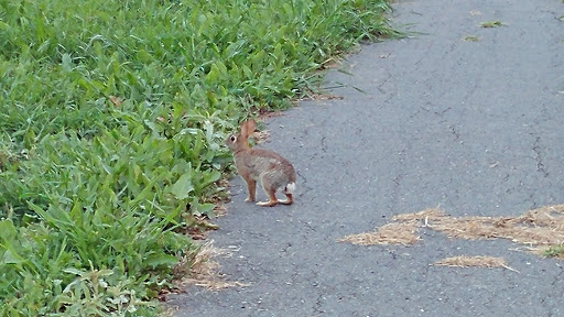 Golf Club «Carolina Lakes Golf Club», reviews and photos, 23012 Kingfisher Dr, Indian Land, SC 29707, USA