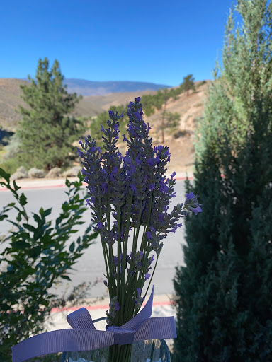 Reno Culinary Lavender