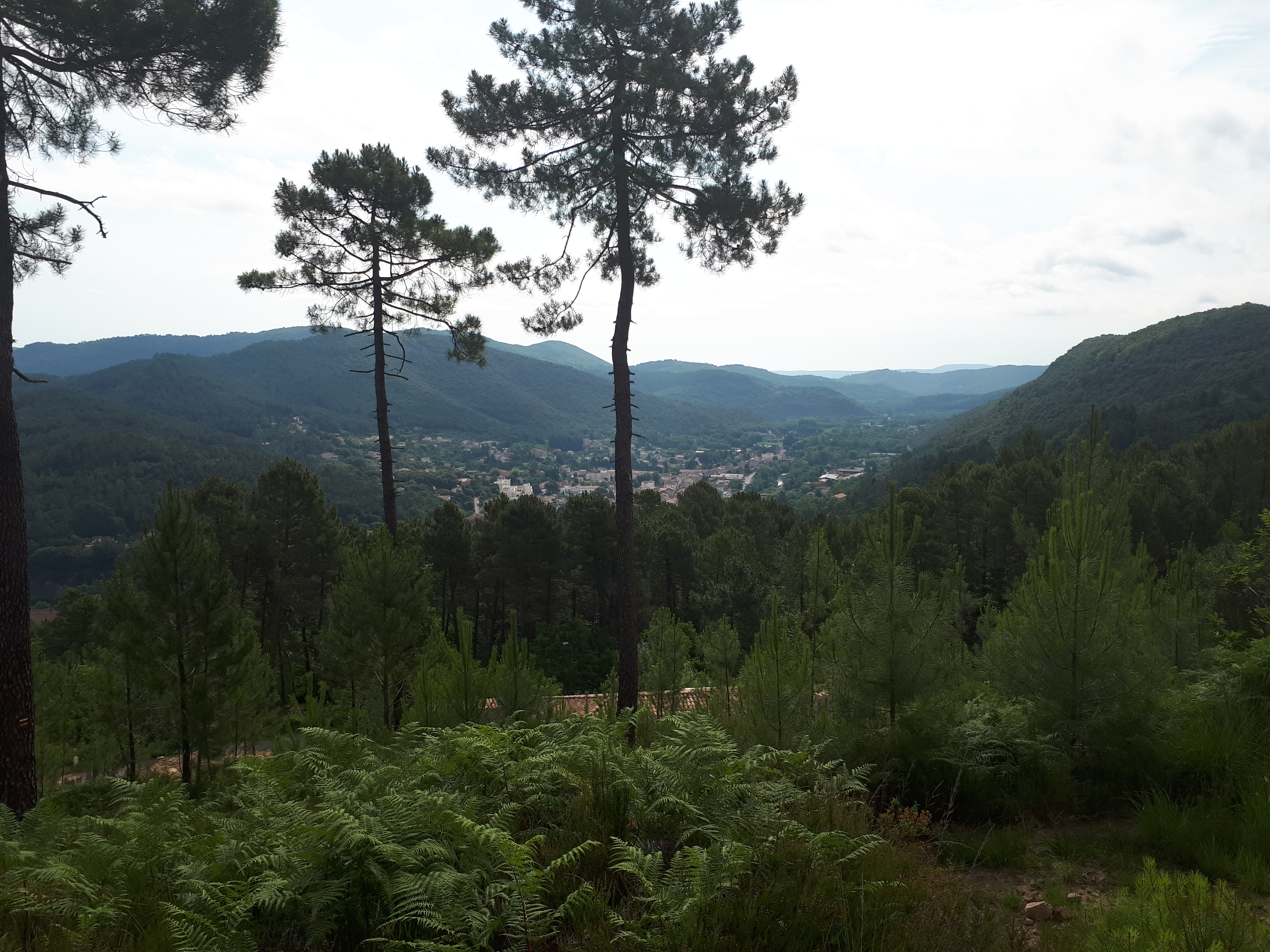 Photo n° 1 de l'avis de Tinne.u fait le 06/07/2021 à 17:03