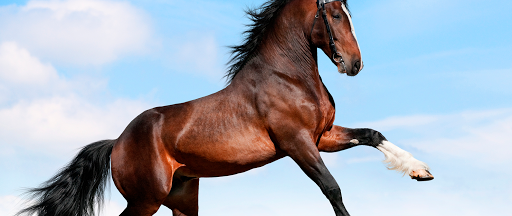 6675 Glenville Rd, Glen Rock, PA 17327, USA