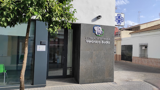 Clínica Veterinaria Verónica Budia en Córdoba